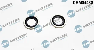 Zestaw uszczelek, doładowanie Dr.motor Automotive DRM0448S - Układ zasilania - akcesoria - miniaturka - grafika 1