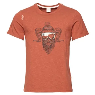 Koszulka męska Chillaz Rock Hero Winter Rozmiar: XXL / Kolor: brązowy - Koszulki sportowe męskie - miniaturka - grafika 1