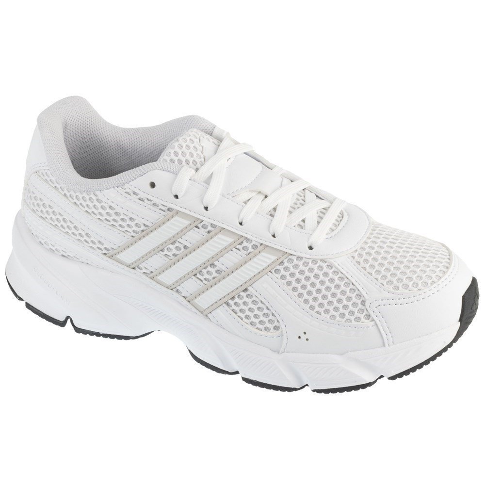 Adipista