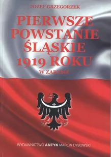 Pierwsze Powstanie Śląskie w zarysie - Historia świata - miniaturka - grafika 1