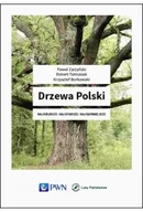 Książki medyczne - Drzewa Polski - miniaturka - grafika 1