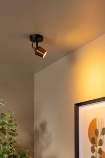 EMILE 51901/01/02 spot regulowany czarno-złoty 1xGU10 - Lampy ścienne - miniaturka - grafika 1