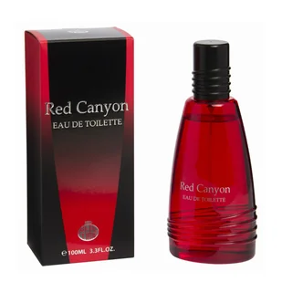 TEMU Parfum Męski Real CANYON 100ML - Wody i perfumy męskie - miniaturka - grafika 1