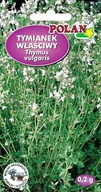 Nasiona i cebule - NASIONA Tymianek Właściwy 0,2g POLAN 114509 - miniaturka - grafika 1