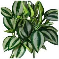 Sztuczne kwiaty - Kwiaty Sztuczne Gałązka Dekoracyjna Uzupełniająca Paski Bukiet Liści Stroik - miniaturka - grafika 1