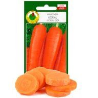 Nasiona i cebule - MARCHEW JADALNA KORAL PLENNA SOK NASIONA BEZ GMO - miniaturka - grafika 1