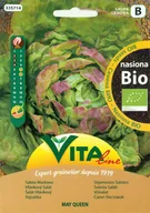 Bakalie - VITA LINE (nasiona) NASIONA SAŁATY MASŁOWEJ (MAY QUEEN) BIO 0,5 g - VITA LINE BP-5907617335714 - miniaturka - grafika 1
