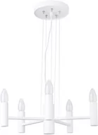 Lampy sufitowe - Sigma Lampa wisząca żyrandol FOKUS 5 BIAŁY 31933 stal lakierowana biały 31933 - miniaturka - grafika 1