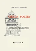 Technika - Cieśla Polski. Wzory i przykłady polskiego budownictwa drewnianego - miniaturka - grafika 1