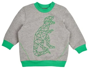 Garnamama chłopięca bluza z dinozaurem 74 szara/zielona - Bluzy i sweterki niemowlęce - miniaturka - grafika 1
