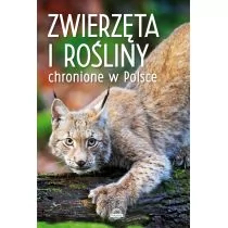 Zwierzęta I Rośliny Chronione W Polsce Praca zbiorowa - Albumy - przyroda - miniaturka - grafika 2