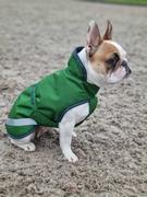 Ubranka dla psów - Bucas Derka dla psa 50g FREEDOM - emerald green - miniaturka - grafika 1