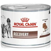 Mokra karma dla psów - Royal Canin Recovery 195g - miniaturka - grafika 1