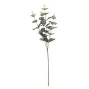 Sztuczne kwiaty - Kwiat sztuczny Eukaliptus 65cm - miniaturka - grafika 1