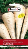 Nasiona i cebule - Nasiona Pietruszka Korzeniowa Cukrowa 5 Gram Plantico - miniaturka - grafika 1