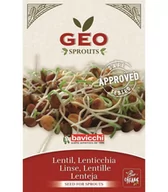 Ziarna i nasiona roślin strączkowych - Soczewica - nasiona na kiełki GEO, certyfikowane, 90g, Bavicchi (ZLE0103) - miniaturka - grafika 1