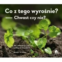 Co z tego wyrośnie? Chwast czy nie? - Rozwój osobisty - miniaturka - grafika 1