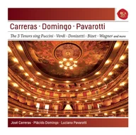 Inna muzyka - Best of the 3 Tenors (3 Tenors / 3 Tenors) (CD) - miniaturka - grafika 1