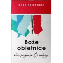 Szaron Boże obietnice które przyniosą Ci nadzieję Pudełko praca zbiorowa - Religia i religioznawstwo - miniaturka - grafika 1