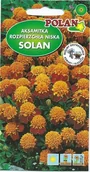 Nasiona i cebule - Aksamitka niska pełna Solan 0.5 g POLAN - miniaturka - grafika 1