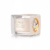 Świece - Yankee Candle ŚWIECA VANILIA CREME BRULEE 37G 5038581130354 - miniaturka - grafika 1