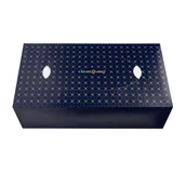 Chusteczki higieniczne - Cleangang czterowarstwowe chusteczki higieniczne bezzapachowe 100 sztuk - miniaturka - grafika 1