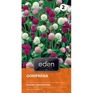Nasiona i cebule - Gomfrena Wiecznik 0,5 g Eden - miniaturka - grafika 1
