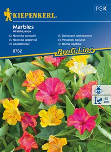 Dziwaczek Wielobarwny Marbles - Nasiona i cebule - miniaturka - grafika 1