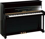 Instrumenty klawiszowe - Yamaha b2 E PE pianino (113 cm) - miniaturka - grafika 1