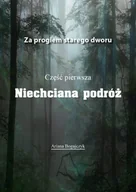 Fantasy - Niechciana podróż Ariana Bogajczyk - miniaturka - grafika 1