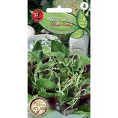 Nasiona i cebule - MIESZANKA ŁAGODNA BABY LEAF - miniaturka - grafika 1