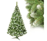 Choinki - Choinka bożonarodzeniowa 250 cm sosna - miniaturka - grafika 1