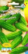 Nasiona i cebule - Ogórek konserwowy Victoria f1 2g / L / - miniaturka - grafika 1