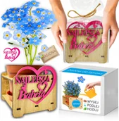 Nasiona i cebule - Prezent na DZIEŃ BABCI Niezapominajka Zestaw do uprawy NASIONA - miniaturka - grafika 1