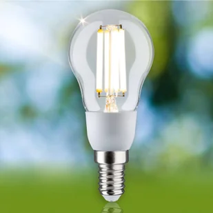 Paulmann Eco-Line kropla LED E14 525lm 3 000 K - Żarówki LED - miniaturka - grafika 1