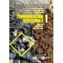 Zrównoważona geotechnika. Wybrane materiały alternatywne. Tom 1 - Rolnictwo i przemysł - miniaturka - grafika 1