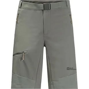 Jack Wolfskin Ziegspitz szorty Gecko Green 46 - Spodenki damskie - miniaturka - grafika 1