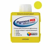 Farby wewnętrzne - Pigment MIX 80 ml limonka - miniaturka - grafika 1