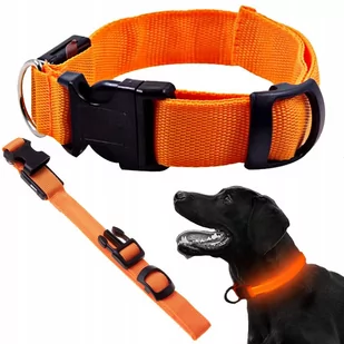 Obroża Świecąca Led Dla Psa I Kota Regulowana 59Cm - Obroże dla psów - miniaturka - grafika 1