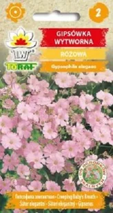 Gipsówka wytworna różowa nasiona 1 g. - Nasiona i cebule - miniaturka - grafika 1