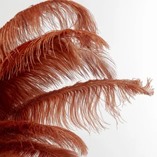 KARE Feather Palm lampa stojąca z piórami, rdza - Lampy stojące - miniaturka - grafika 3
