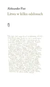 Pamiętniki, dzienniki, listy - Litwa w kilku odsłonach - Aleksander Fiut - książka - miniaturka - grafika 1