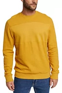 Bluzy męskie - ESPRIT Bluza męska, Żółty (700/bursztynowy żółty), XXL - miniaturka - grafika 1