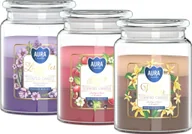 Świece - ZESTAW DUŻA Świeca zapachowa w słoiku BISPOL Aura 100H MIX "1" 3szt. - miniaturka - grafika 1