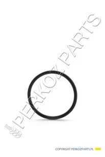NEW HOLLAND CASE O-RING CASE CNH 84197601 84197601 - Części i akcesoria do maszyn rolniczych - miniaturka - grafika 1