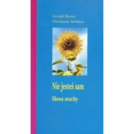 Religia i religioznawstwo - TUM Nie jesteś sam. Słowa otuchy Gerald Drews, Christiane Schluter - miniaturka - grafika 1