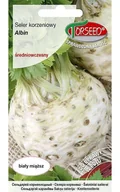 Nasiona i cebule - Nasiona Seler korzeniowy Albin 0,5g - Torseed - miniaturka - grafika 1