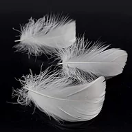 Koszulki męskie - Lee Męski t-shirt z logo Small, Sharp Grey MELE, szary, S - miniaturka - grafika 1