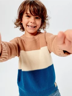 Swetry dla chłopców - Sinsay - Sweter - wielobarwny - grafika 1