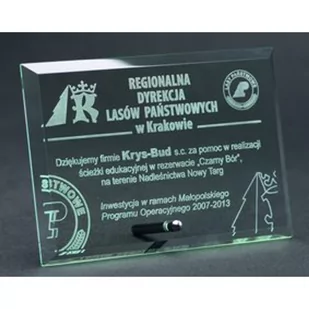 Trofeum szklane grawerowane - Gadżety dla kibiców - miniaturka - grafika 2